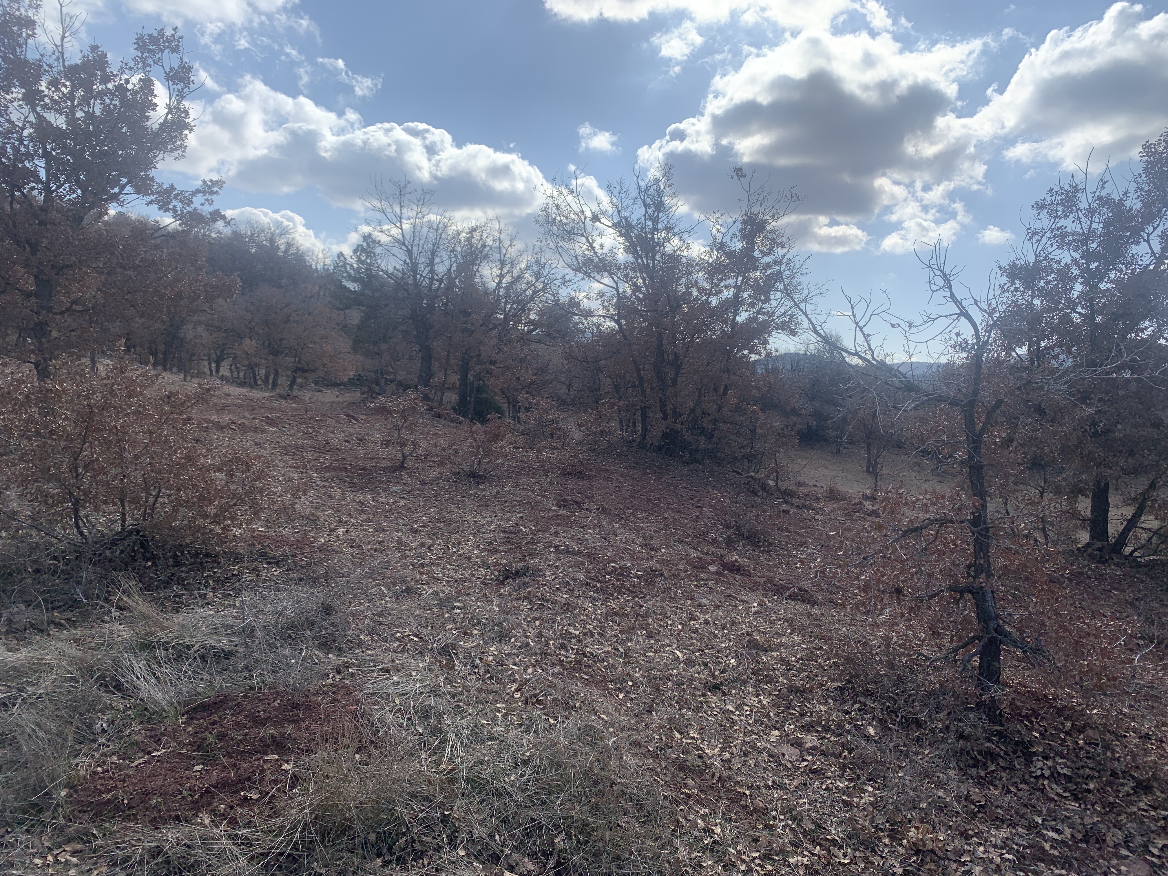 KONYA BOZKIR HACILAR KÖYÜNDE 39M² TARLAMIZ SATILIKTIR. - KONYA BOZKIR fotoğraf 4